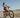 Health and Happiness: The Psychological Benefits of Family E-Bike Rides