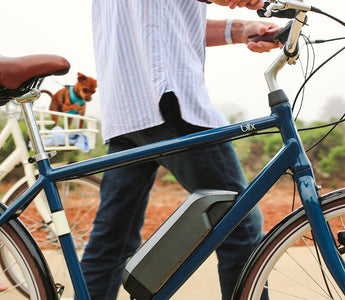 Survive Your Summer Commute