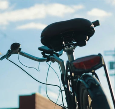 Can You Survive LA Without a Car?
