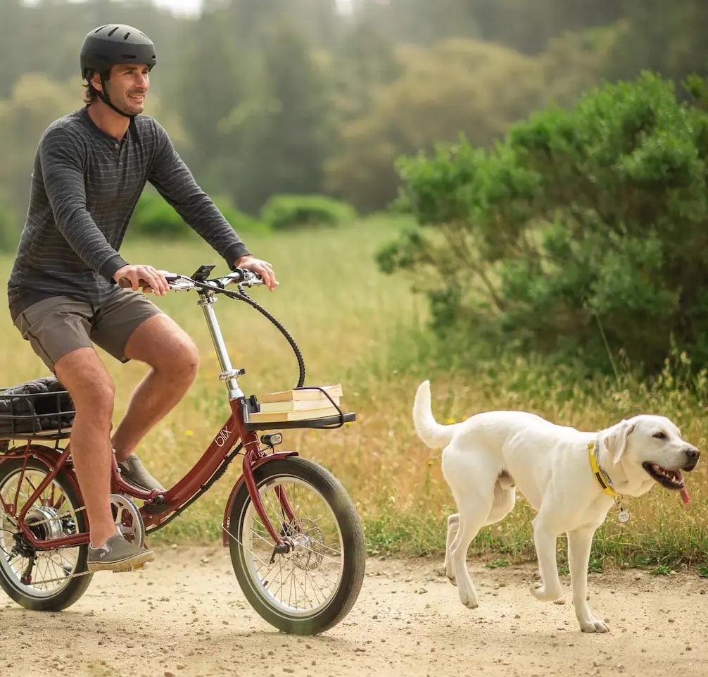 Ebikes and Longevity: How Regular Riding Can Extend Your Life – Blix ...