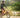 Ebikes and Longevity: How Regular Riding Can Extend Your Life