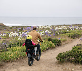 E-Biking in Nature: The Mental and Physical Benefits of Outdoor Adventures