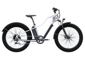 Ultra Fat Tire eBike