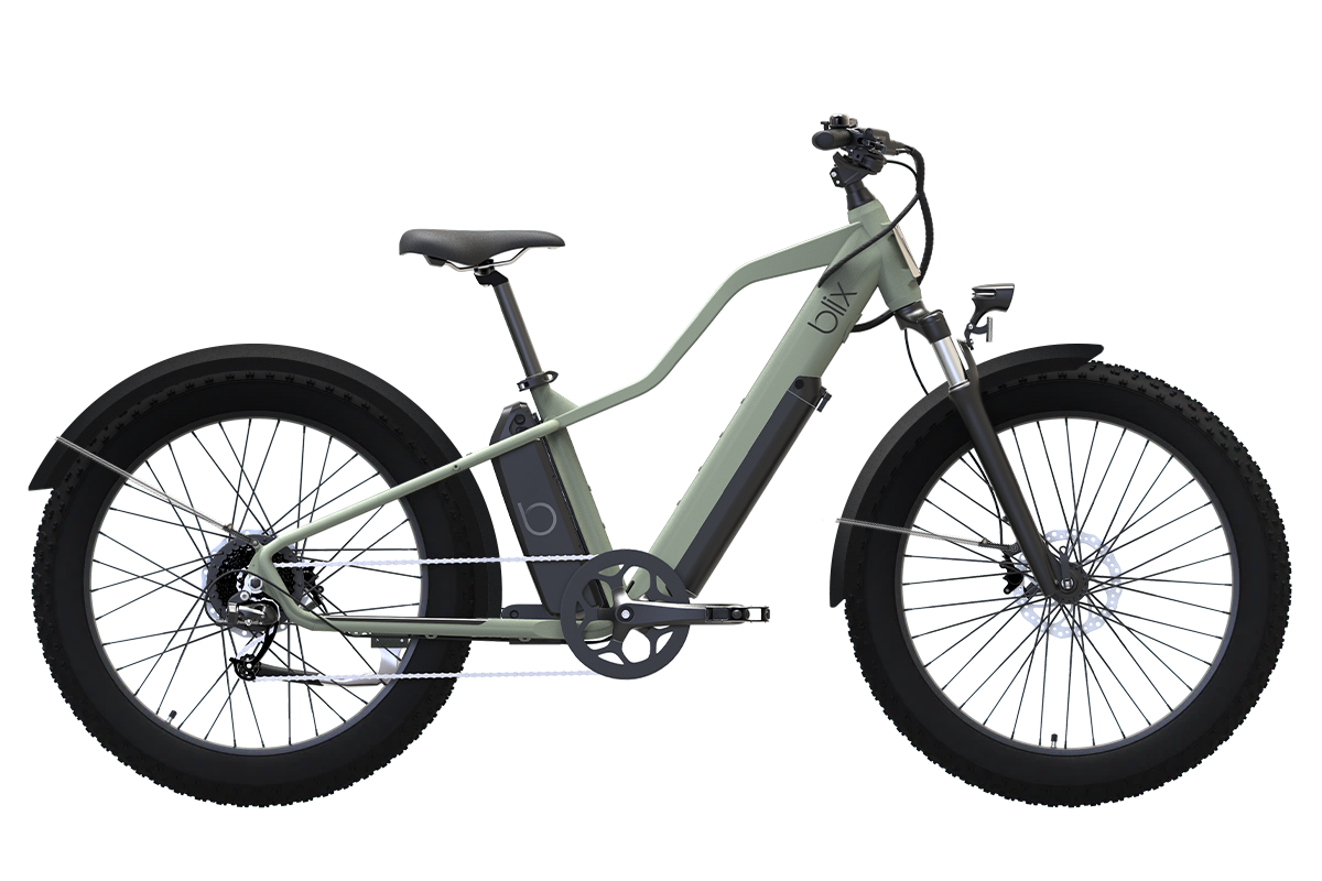 Ultra Fat Tire eBike