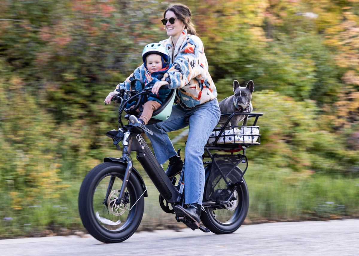 blix dubbel cargo ebike